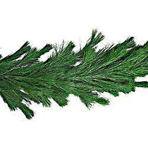 White Pine Roping 25'